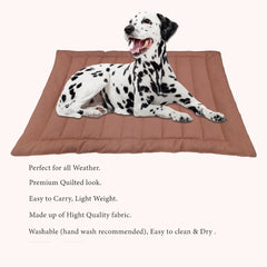 Cozy Cocoa Dog Mat