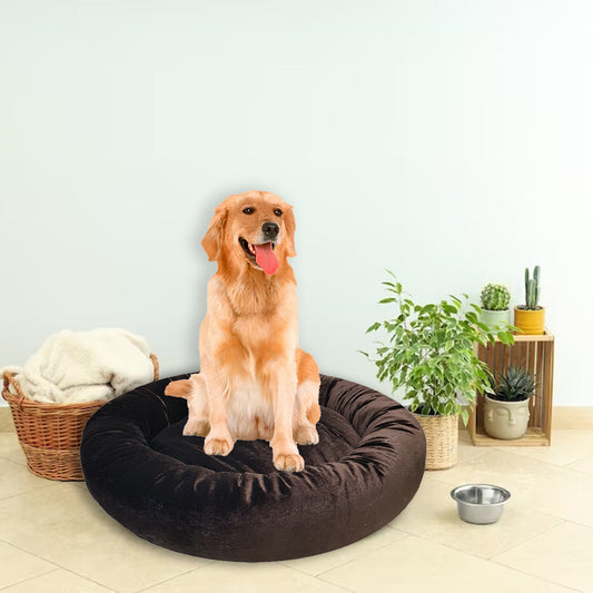 Cozy Donut Dog Bed