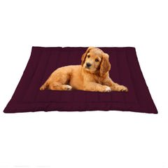 Cozy Maroon Dog Mat
