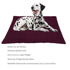 Cozy Maroon Dog Mat