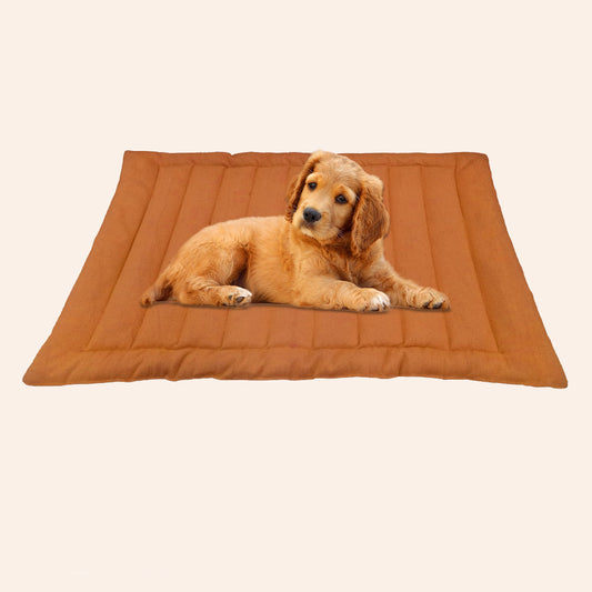 Caramel Cozy Dog Mat