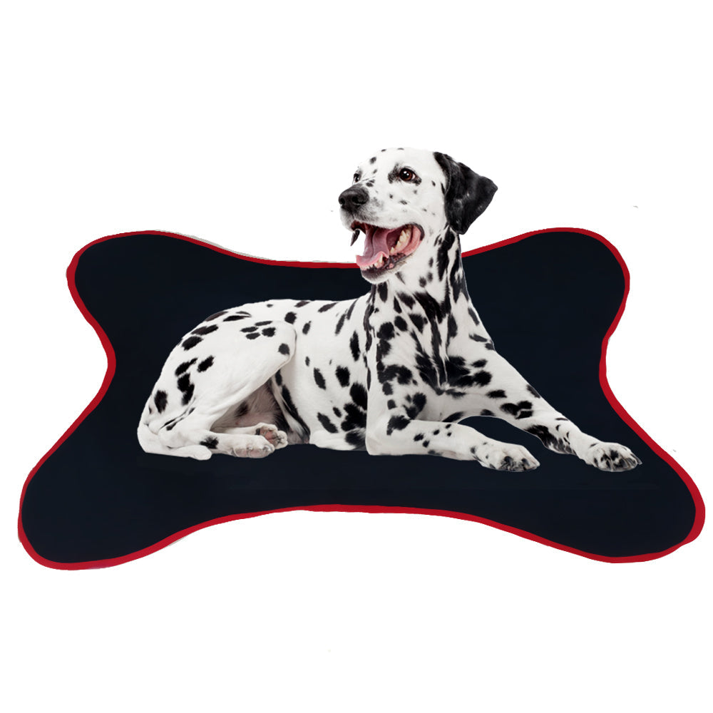 Bone Buddy Pet Mat