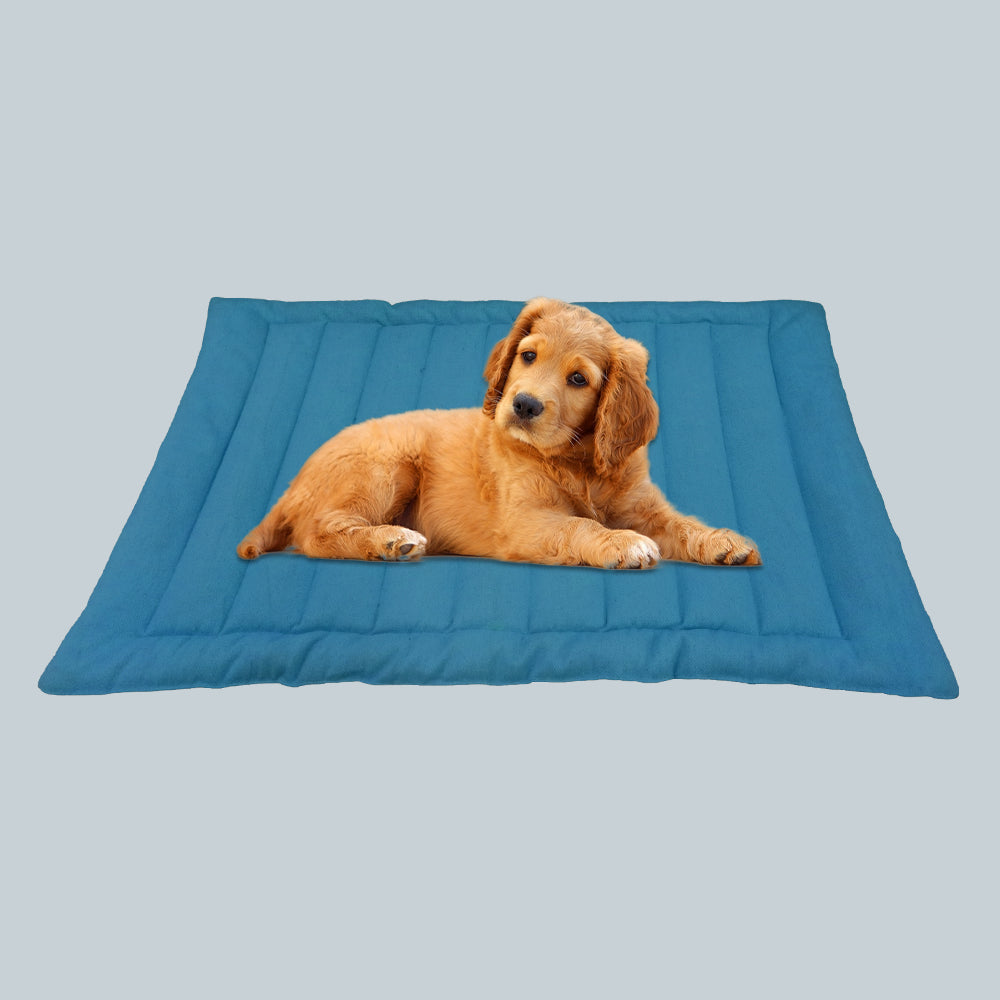 Aqua Cozy Pet Mat