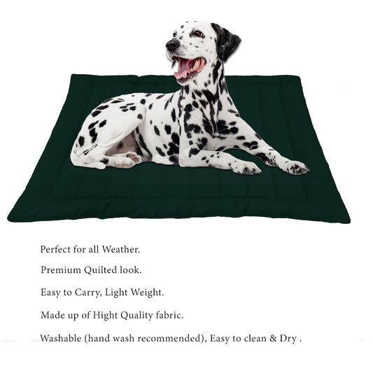 Deep Forest Dog Mat