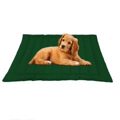 Cozy Green Dog Mat