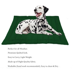 Cozy Green Dog Mat