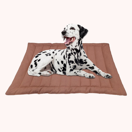 Cozy Cocoa Dog Mat